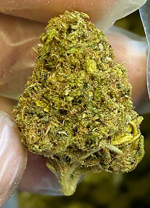 Jack Herer Cheap Medicinal Medium THC Bud