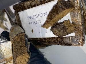 Shark 🦈 stamp 120u PASSION FRUIT