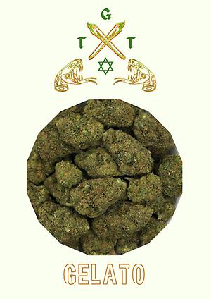 PREMIUM GELATO *FREE SHIPING*