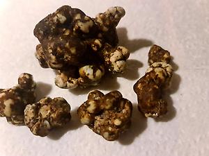 Magic Truffles - Fresh