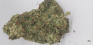 BUBBLE KUSH (INDICA)