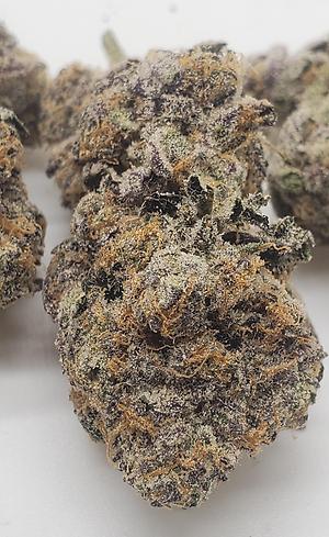 SPEAKER KNOCKERZ #3 (HYBRID)