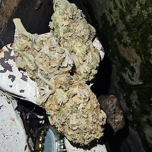 Purple Cookies 😈🍪