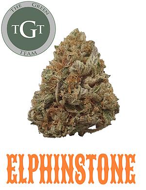 ELPHINSTONE *EXCLUSIVE*