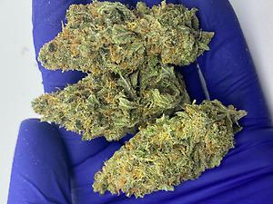 Finest UK Grown Super Silver Haze - Sweet Candy Sativa