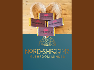 4g Cacao Mushroom Bars