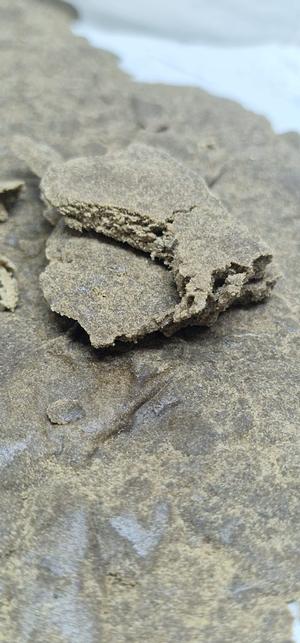 Ultra Premium 73u Sherbacio Iceolator Hash - 🇺🇸