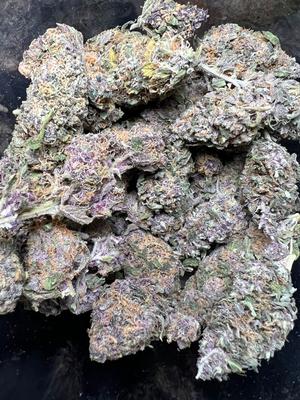 Forbidden Fruit - german grown