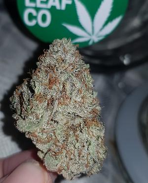 **NORTHERN LIGHTS - (FREE RM 1ST CLASS)**