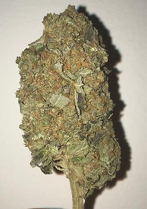 Orange cookies