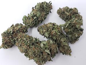 Organic Outdoor Cannabis - mixed stranis