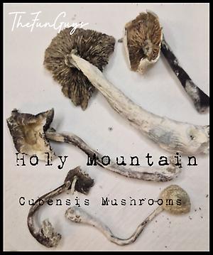 Holy Mountain Cubensis