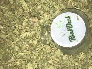 Stardawg Shake Pure Power