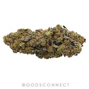 GPR: This sheet right here "Mint Choc Chip"