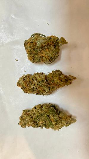 Organic Living Soil Indoor Amnesia Lemon Special Offer