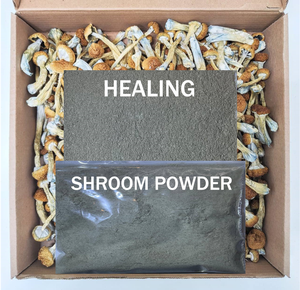 Shroom Powder *Free Shipping*