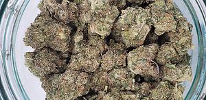 TOM FORD PINK KUSH (INDICA)