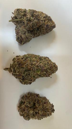 Dispensary Sealed Backdoor Cali Packs