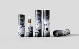 SAYC D9 & Terps Disposable 1G