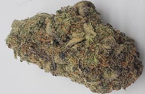 CEREAL MILK (HYBRID)