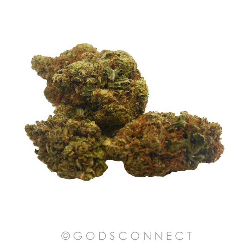 Canada-'Gaddafi OG' -Blackberry Kush X Emerald Headband