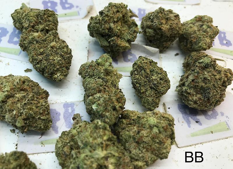 BERRY BLAST MID SHELF CALI