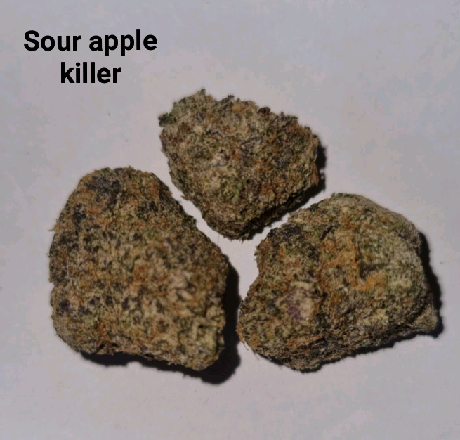 Make a Cali oz for £190 ( Free T24 )