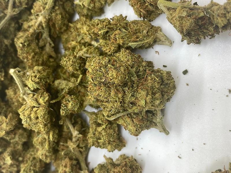 Orange Creamsicle - Cali Lows - small nugs