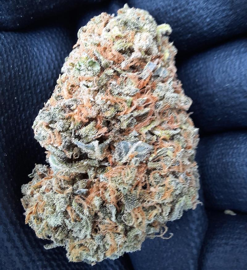 **INDICA/SATIVA VARIETY PACK (FREE RM 1ST CLASS POST)**