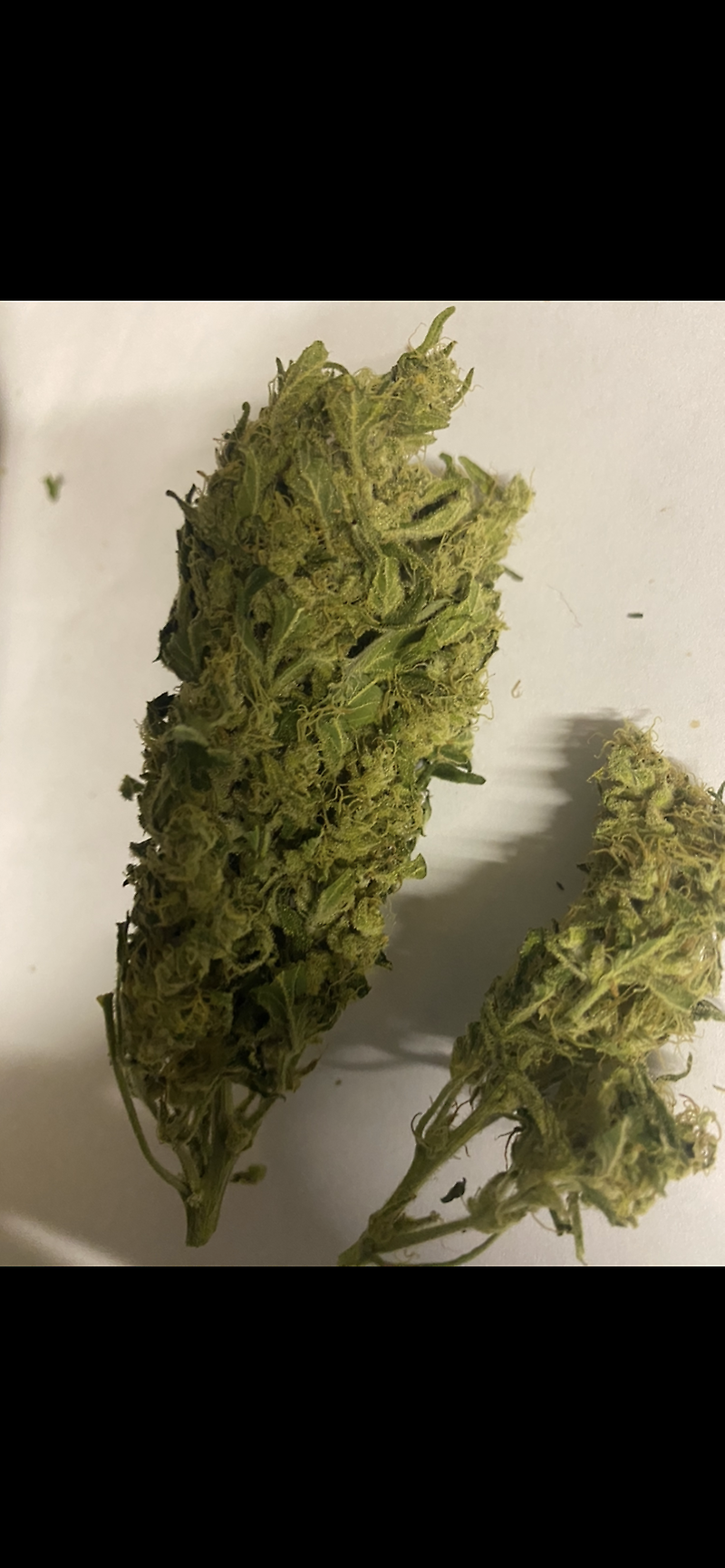 Grade B Super Lemon Haze