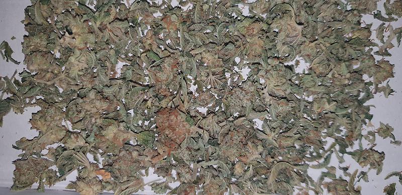 **MIXED STRAIN SHAKE - (FREE RM 1ST CLASS)**