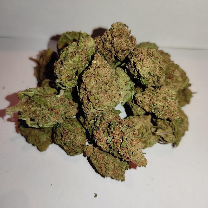 'Papaya' *Greenhouse grown* Budget Bud