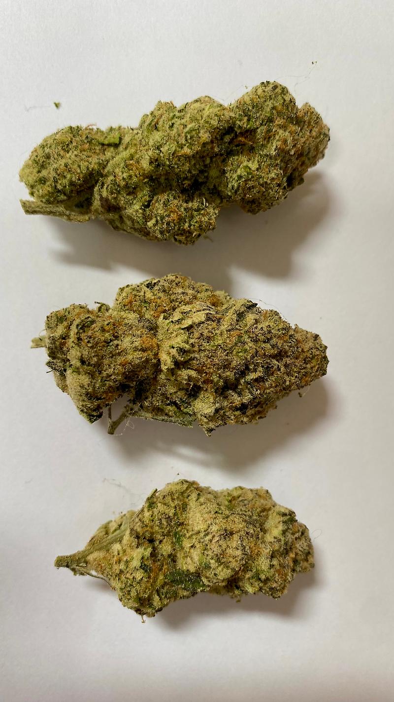 Dispensary Sealed Backdoor Cali Packs