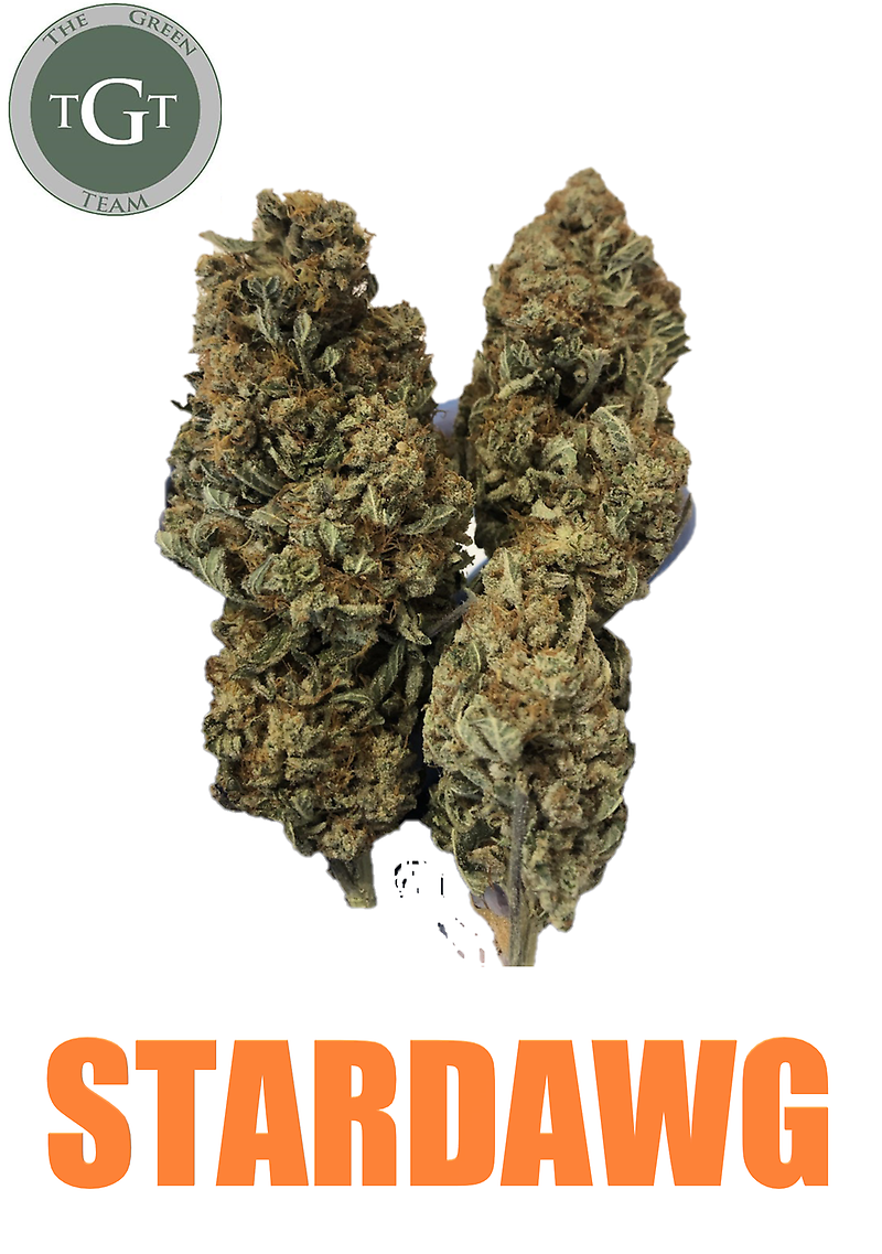 STARDAWG 10/10