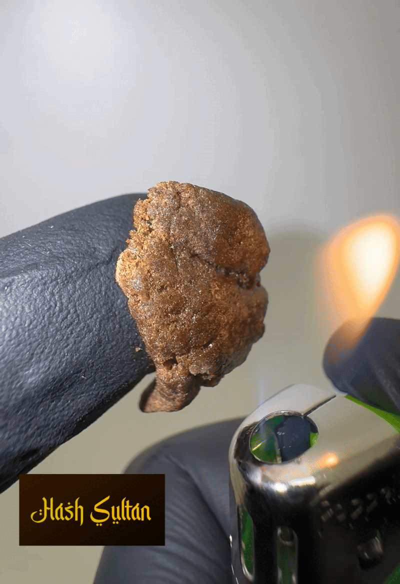 3x Filter Premium Hash