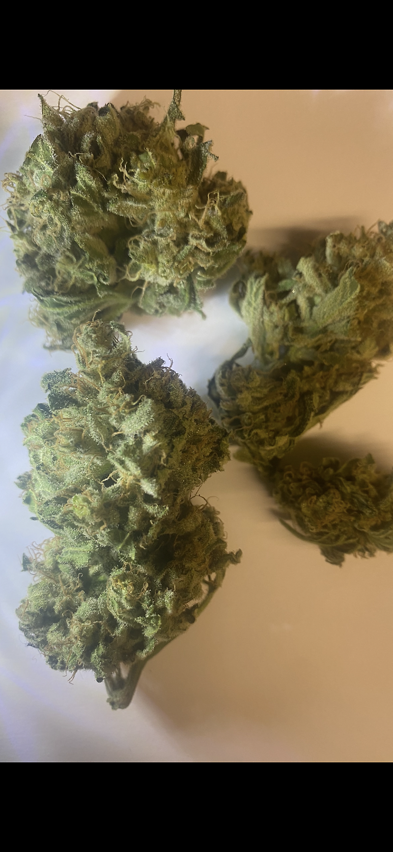 Grade A, Top Shelf, Super Lemon Haze