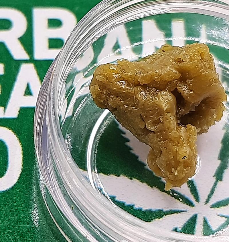 **MIMOSA WAX - (FREE RM 1ST CLASS SHIPPING)**