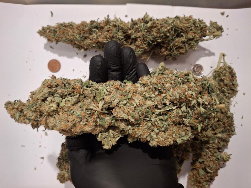 Delicious Strong Super Lemon Haze