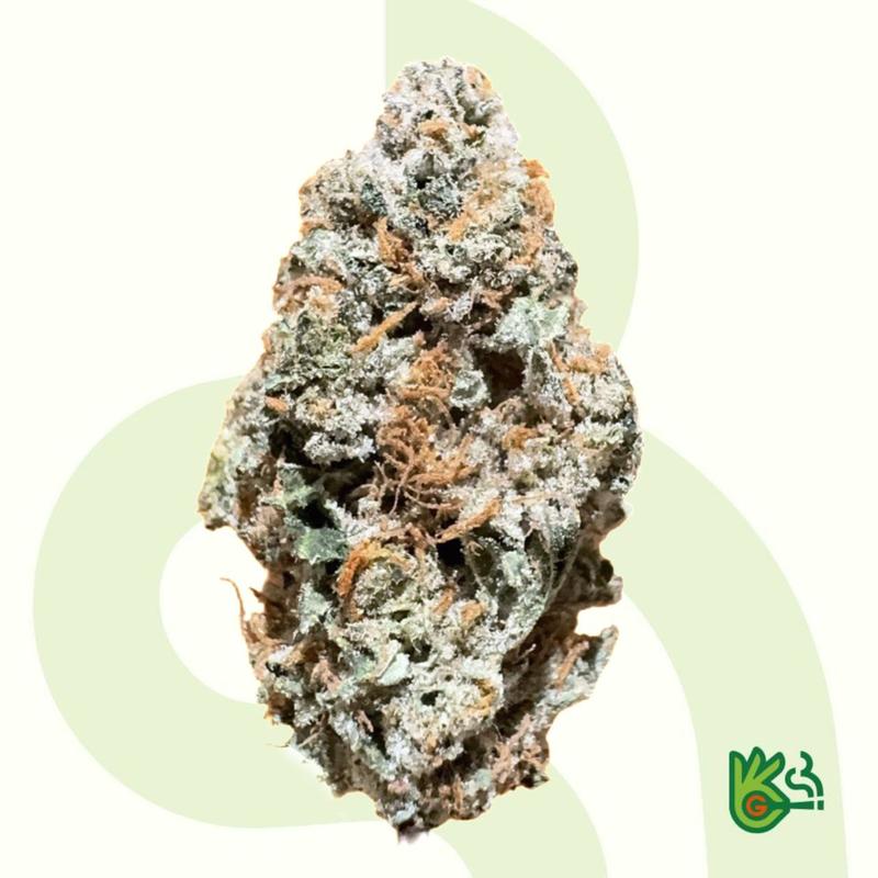 Alien Dawg *Free Shipping*