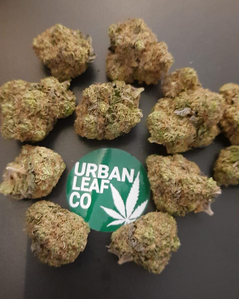 **DB#10 - (FREE RM 1ST CLASS DISPATCH)**