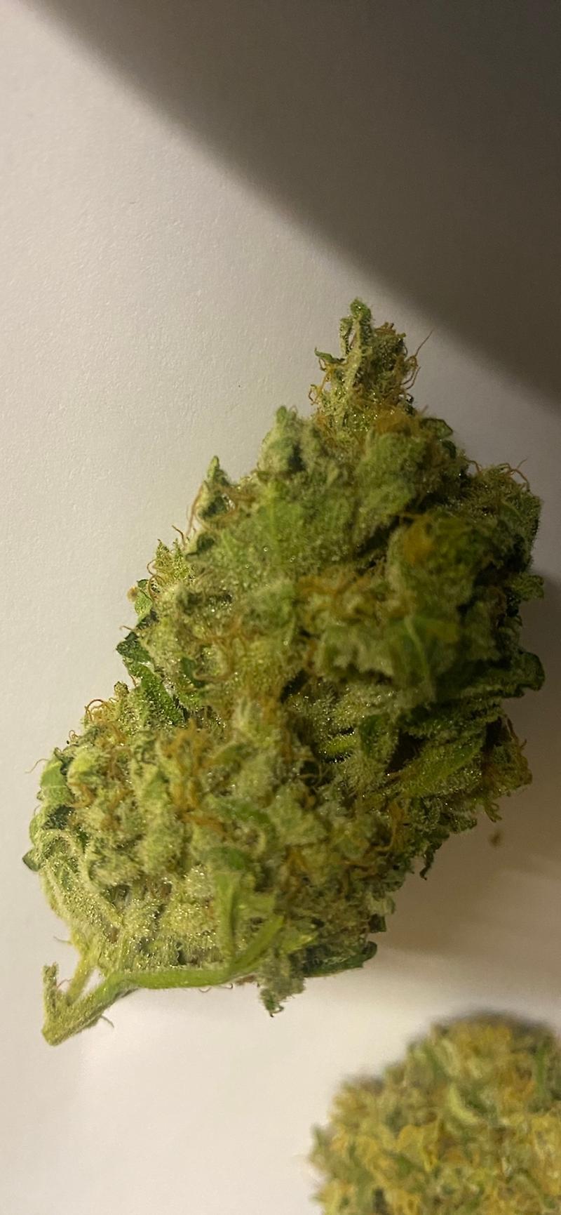 Grade A, Top Shelf, Super Lemon Haze