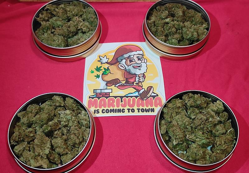 'Papaya' *Greenhouse grown* Budget Bud