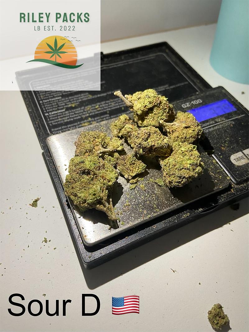 Jack Frost (White widow x Northern Lights)