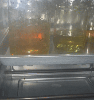 High Quality 100% Live Resin Extract CCell Cartridges