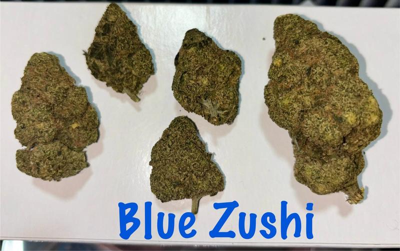 Blue Zushi