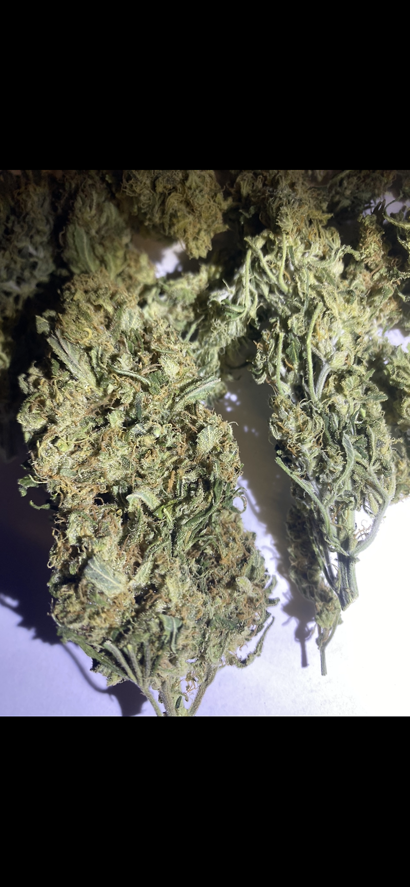 Grade B Super Lemon Haze