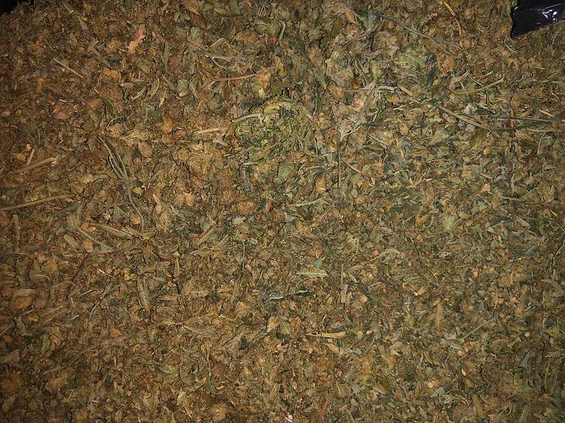 Rolex Quality Shake - Silver Zkittles - Premium Quality