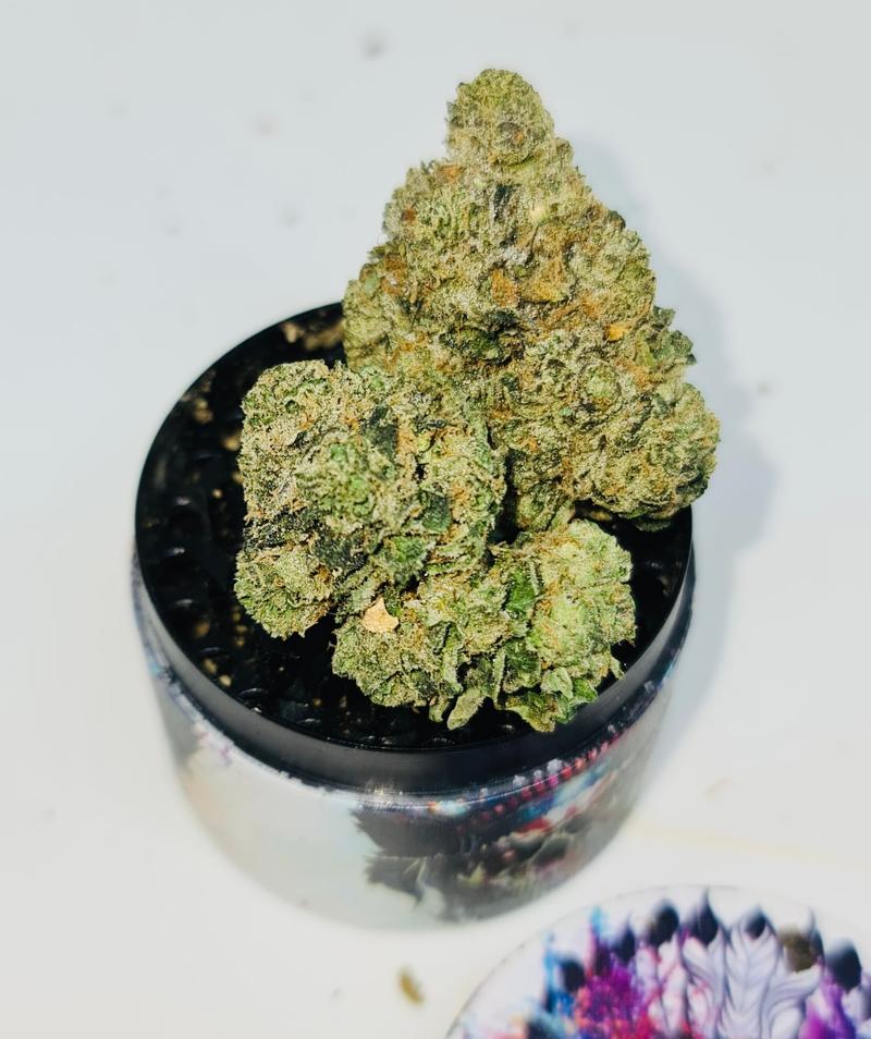 SUNSHINE SHERBET 🍧🌞 UK TOPS