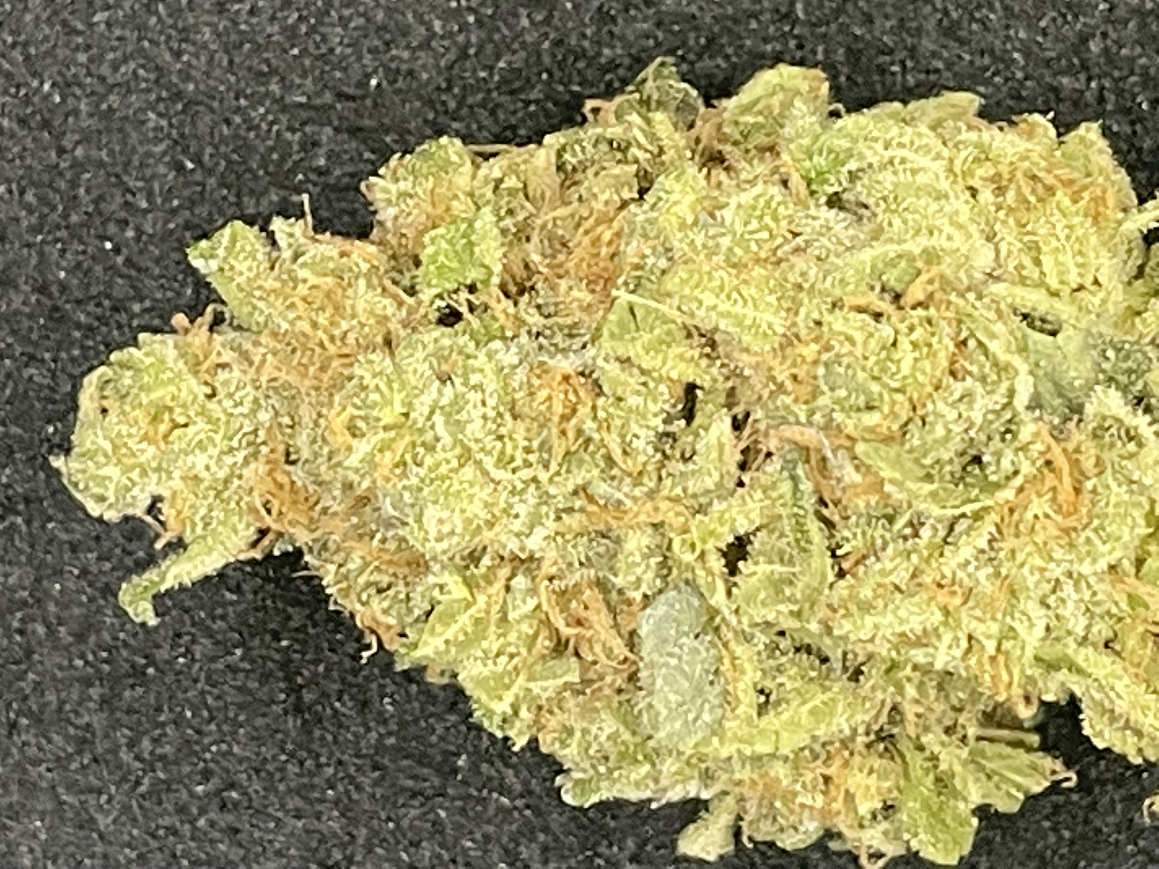 MAI TAI (26% THC HYBRID)