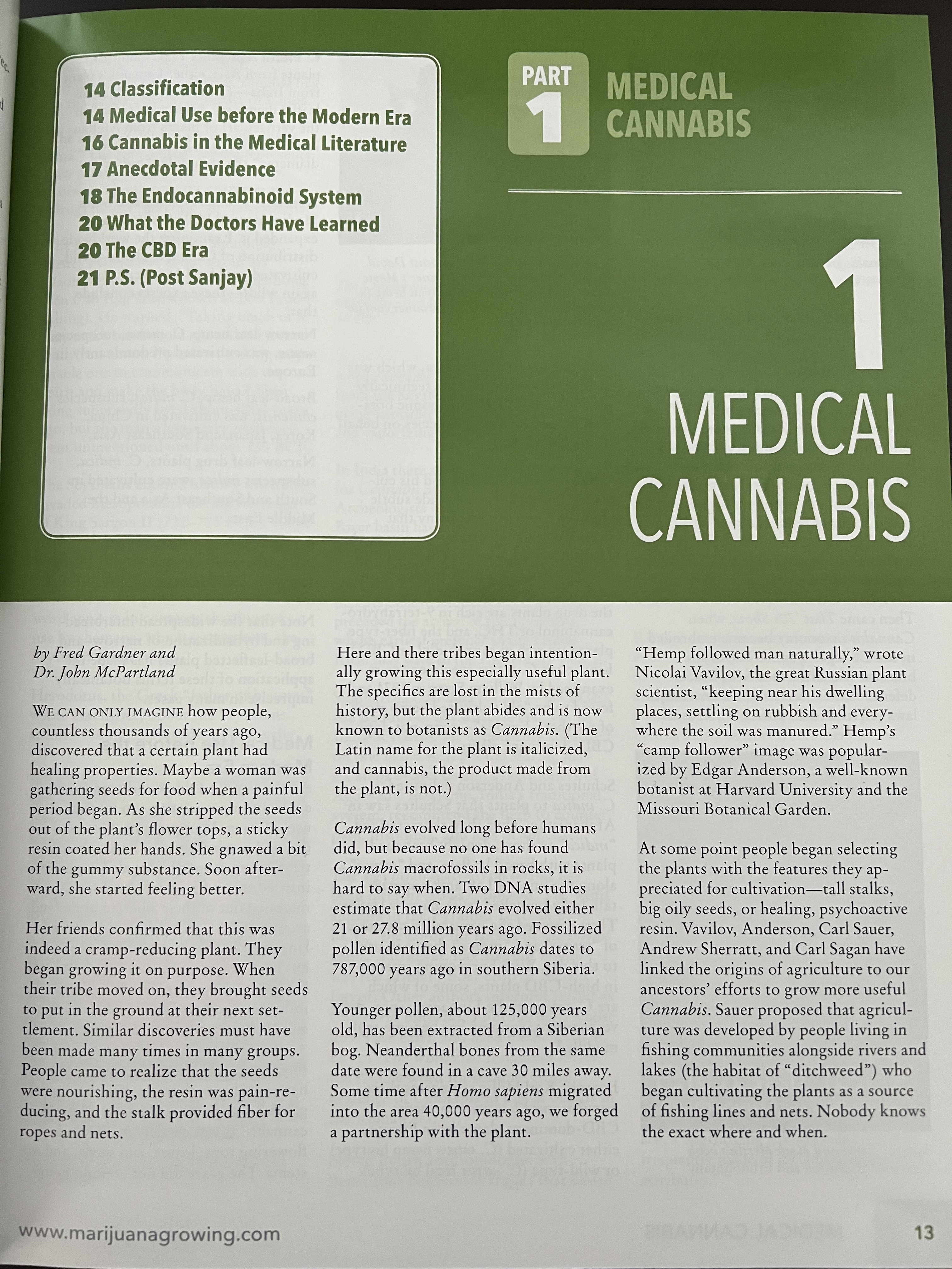 The Cannabis Encyclopaedia by J.C